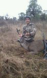 Blacktail005