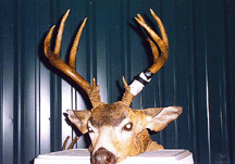 Previous-Seasons025