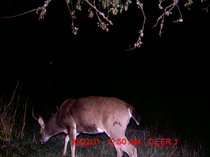 MDGC0050