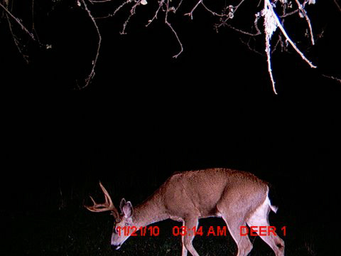 MDGC0083