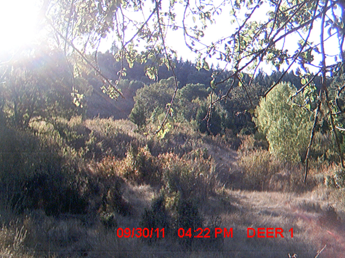 MDGC0102