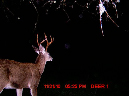 MDGC0098