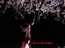 MDGC0169