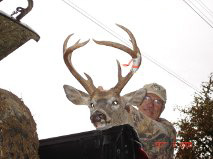 Whitetail010